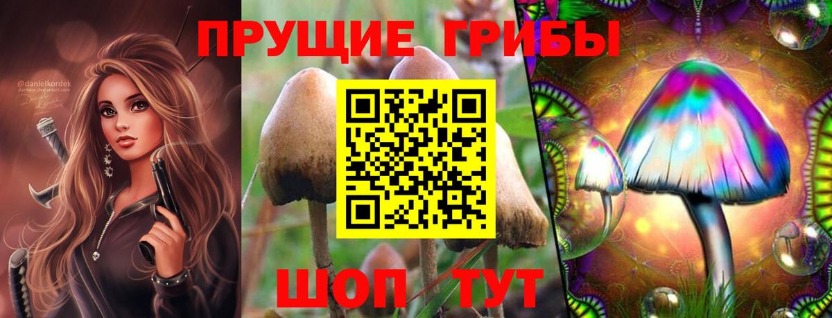 Псилоцибиновые грибы MAGIC MUSHROOMS  Галлюциногенные грибы Cubensis  где купить наркотик  Вход с VPN  Ноябрьск 
